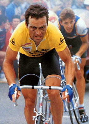 Hinault2_display_image