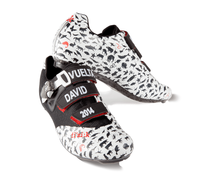 1408618938front_dritto