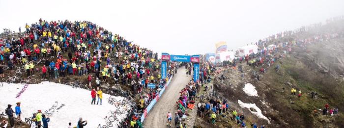 CGUyPUnXIAAZ1vi.jpg-large